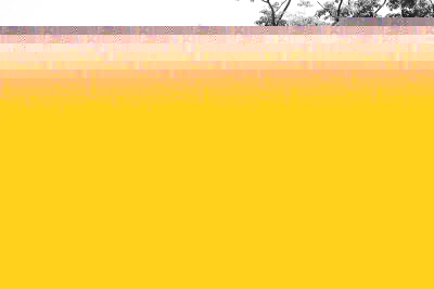 ´ͼƬ