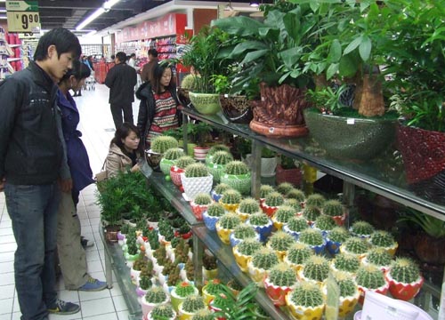 ϣԻ 